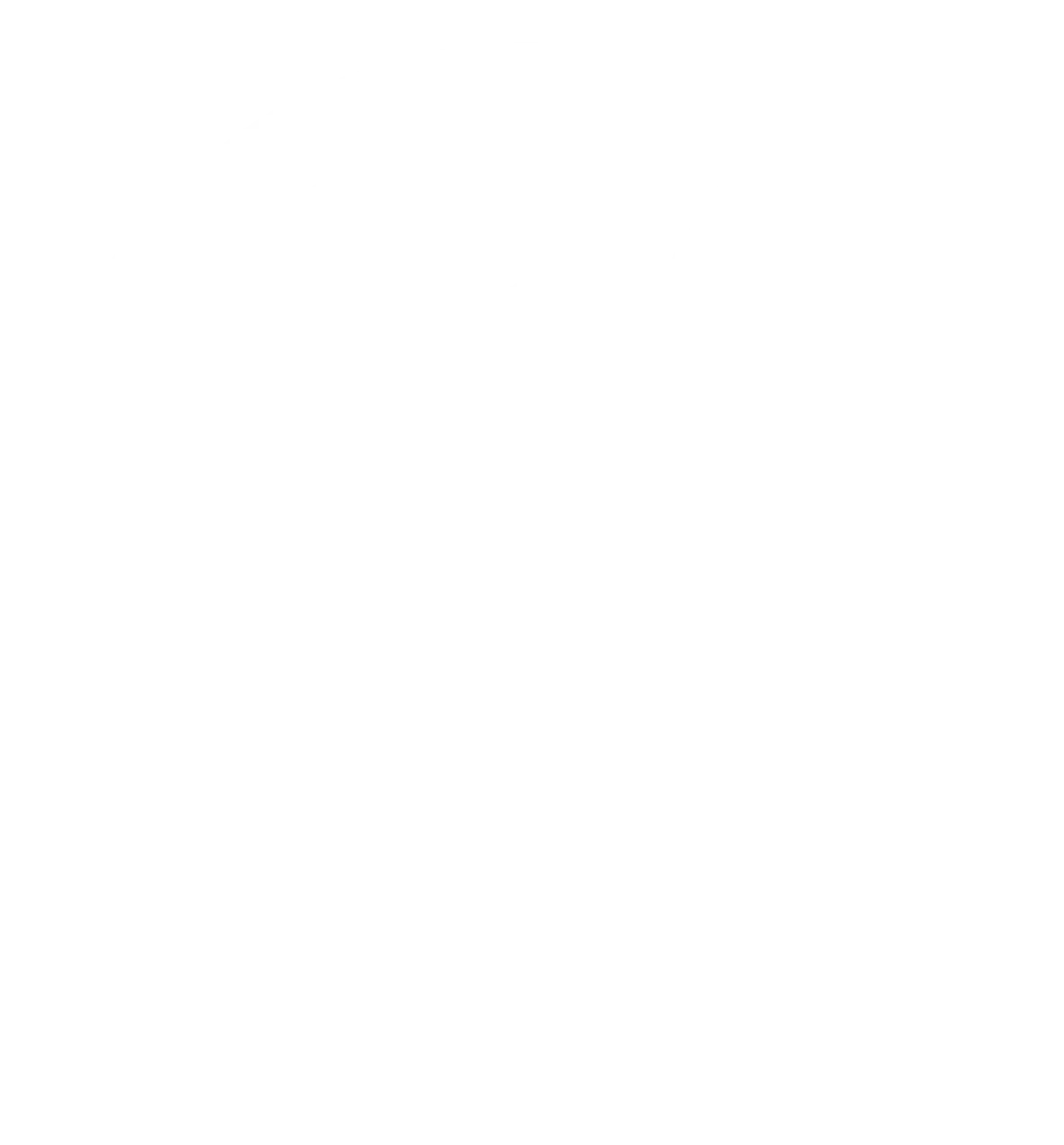 CFPP Lifecycle SHUTDOWN